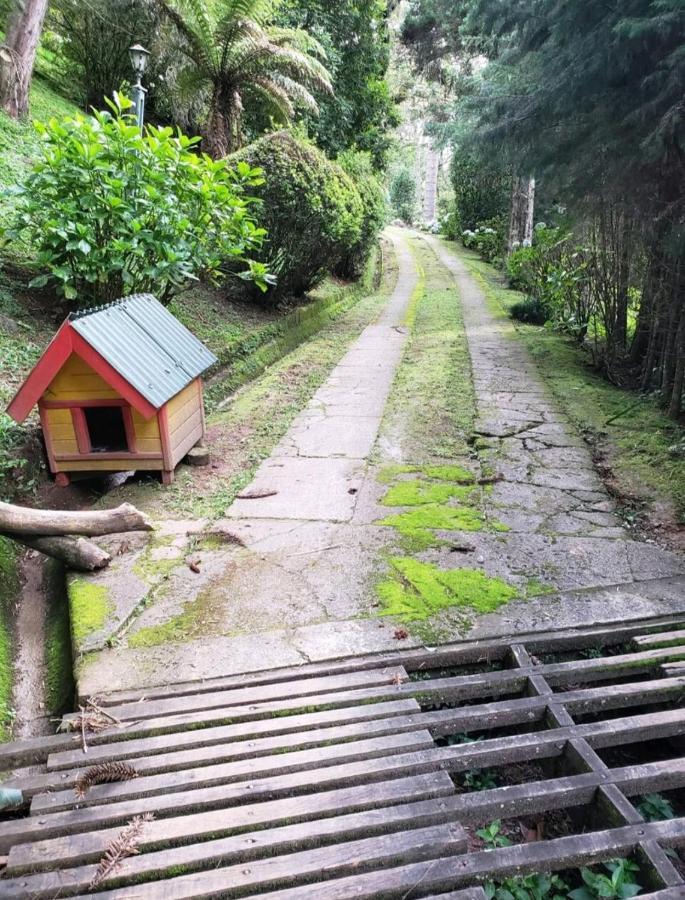 Casa Em Campos Do Jordao - 3 Quartos, Com Churrasqueira Екстер'єр фото