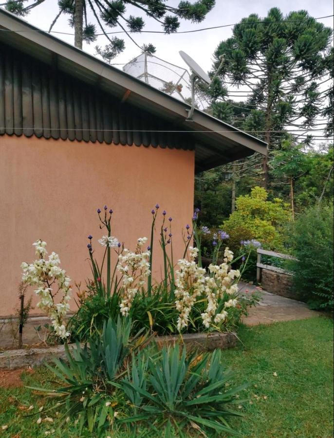 Casa Em Campos Do Jordao - 3 Quartos, Com Churrasqueira Екстер'єр фото